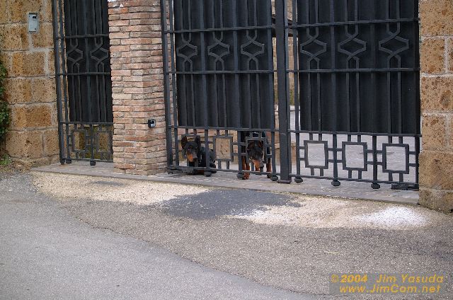 dscf0693.jpg
