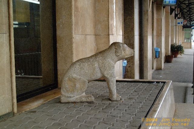 dscf0850.jpg