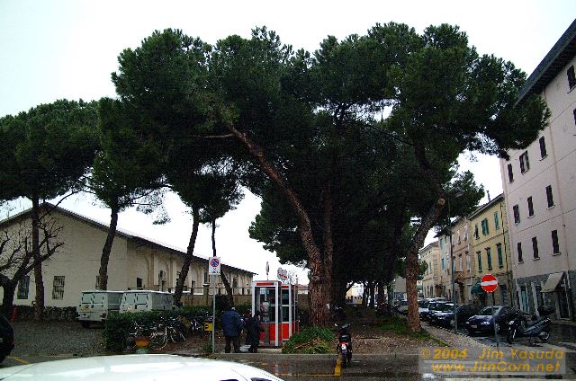 dscf0854.jpg
