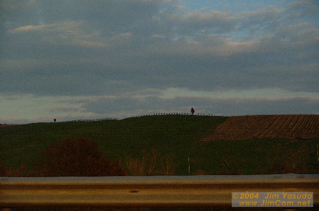 dscf1384.jpg