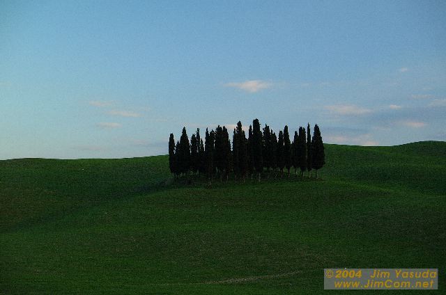 dscf1391.jpg