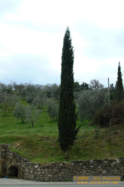 dscf1552.jpg