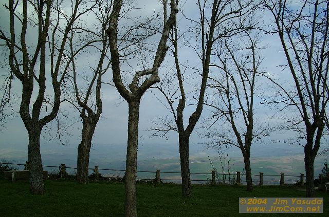 dscf1564.jpg