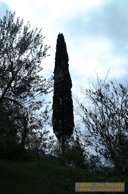dscf1567.jpg