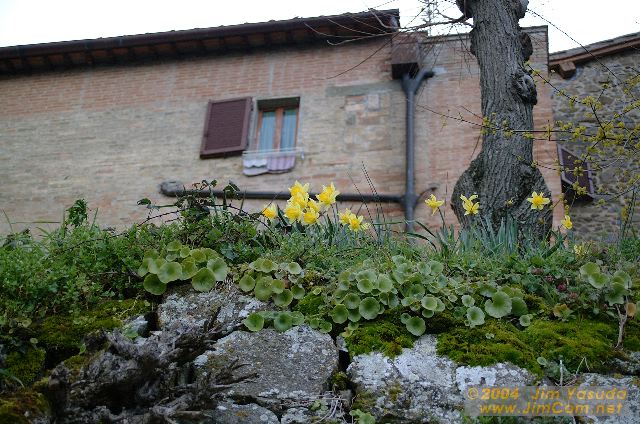 dscf1576.jpg