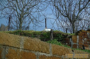 dscf0587.jpg