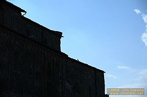 dscf0677.jpg