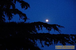 dscf0727.jpg
