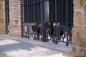 dscf0781.jpg
