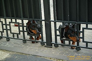 dscf0783.jpg