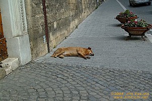 dscf0843.jpg