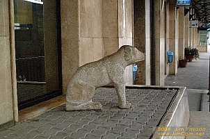 dscf0850.jpg