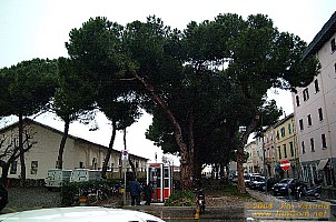 dscf0854.jpg