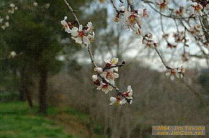 dscf1503.jpg