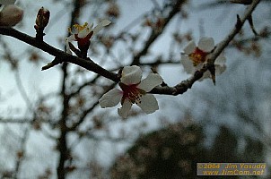 dscf1505.jpg