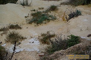 dscf1506.jpg