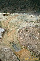 dscf1517.jpg