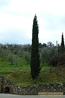 dscf1552.jpg