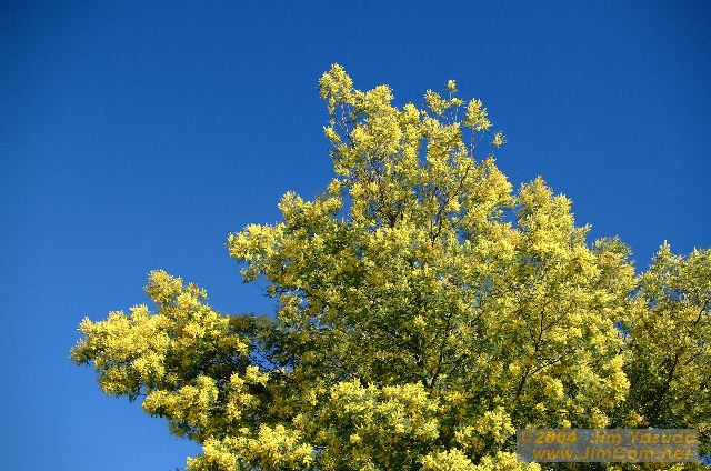 dscf0249.jpg