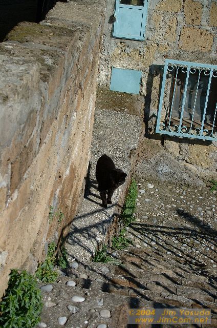dscf0335.jpg