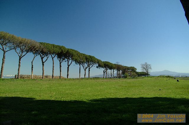 dscf0451.jpg