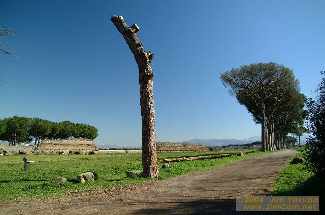 dscf0452.jpg