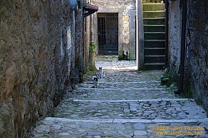 dscf0311.jpg