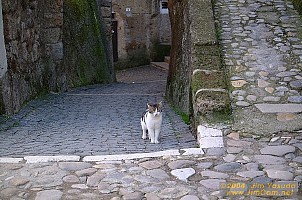 dscf0320.jpg