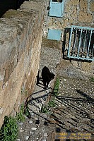 dscf0335.jpg