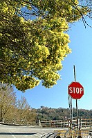 dscf0342.jpg