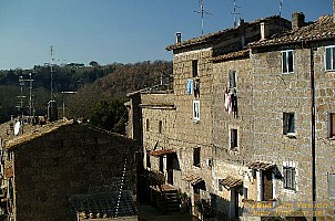 dscf0348.jpg