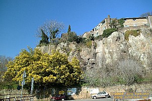 dscf0350.jpg