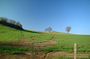 dscf0364.jpg