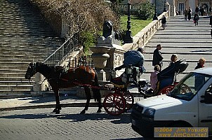dscf0384.jpg