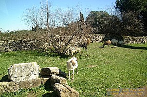 dscf0399.jpg