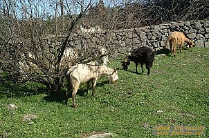 dscf0400.jpg