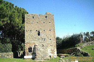 dscf0405.jpg