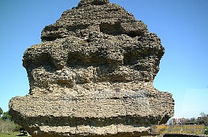dscf0406.jpg
