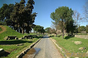 dscf0407.jpg