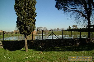 dscf0412.jpg