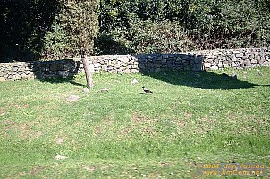 dscf0413.jpg