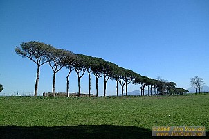 dscf0429.jpg