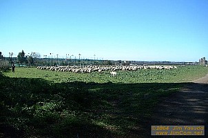dscf0432.jpg
