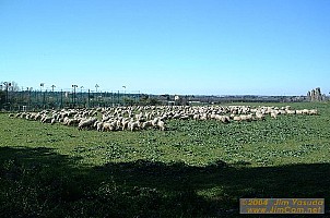 dscf0433.jpg
