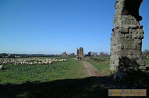 dscf0434.jpg