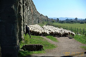 dscf0449.jpg