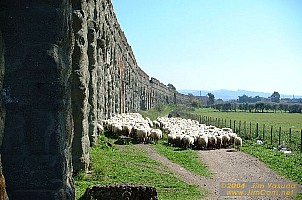 dscf0450.jpg