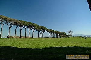 dscf0451.jpg