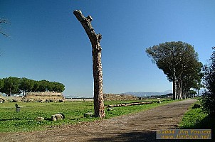 dscf0452.jpg