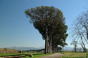 dscf0453.jpg